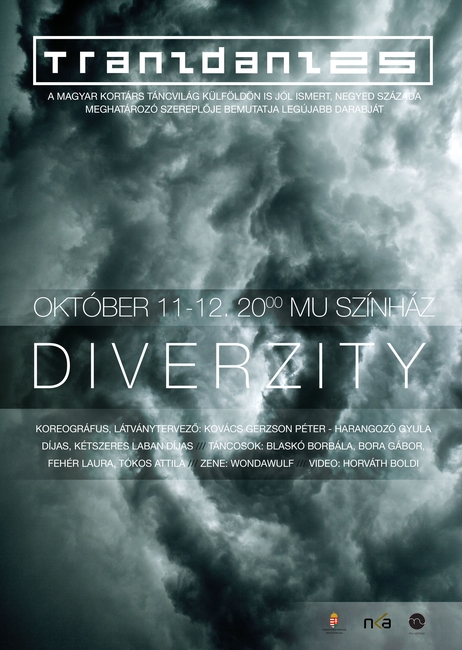 DiverZity - flyer